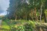Land for sale in Khao Thong, Krabi
