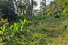 Land for sale in Kamala, Phuket