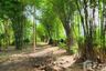 Land for sale in Don Thong, Phitsanulok