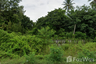 Land for sale in Khanom, Nakhon Si Thammarat