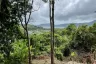 Land for sale in Patong, Phuket