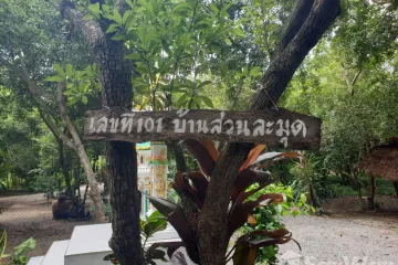 Land for sale in Ban Lat, Phetchaburi