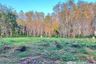 Land for sale in Si Sunthon, Phuket