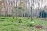 Land for sale in Si Sunthon, Phuket