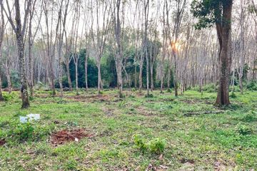 Land for sale in Si Sunthon, Phuket