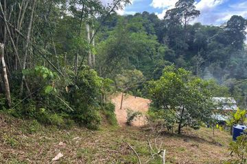 Land for sale in Patong, Phuket