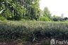 Land for sale in Pa Sang, Chiang Rai