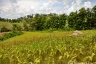 Land for sale in Pa Sang, Chiang Rai