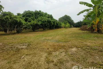 Land for sale in Rop Wiang, Chiang Rai