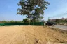 Land for sale in Nong Prue, Chonburi