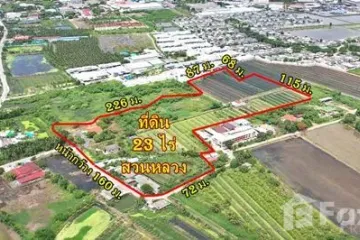 Land for sale in Khae Rai, Samut Sakhon