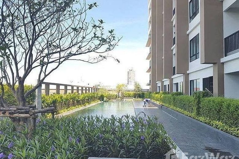 1 Bedroom Condo