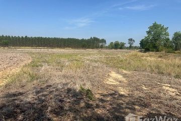 Land for sale in Yawuek, Surin