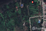 Land for sale in Bang Kachao, Samut Prakan