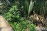 Land for sale in Bang Kachao, Samut Prakan