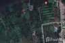 Land for sale in Bang Kachao, Samut Prakan