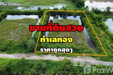 Land for sale in Lam Ta Sao, Phra Nakhon Si Ayutthaya