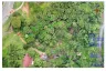 Land for sale in Choeng Thale, Phuket