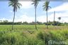 Land for sale in Huai Yai, Chonburi
