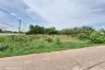 Land for sale in Nong Bua, Nong Bua Lamphu