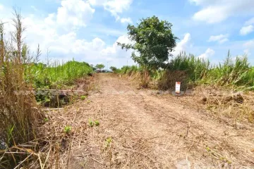 Land for sale in Na Mai, Pathum Thani