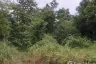 Land for sale in Ban Pong, Lampang