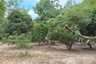 Land for sale in Nong Pla Lai, Chonburi