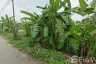 Land for sale in Bang Sare, Chonburi