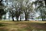 Land for sale in Sakhu, Phuket