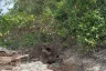 Land for sale in Ko Lanta Noi, Krabi