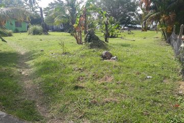 Land for sale in Pa Khlok, Phuket