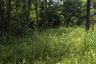 Land for sale in Mai Khao, Phuket