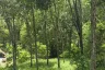 Land for sale in Mai Khao, Phuket