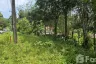 Land for sale in Mai Khao, Phuket