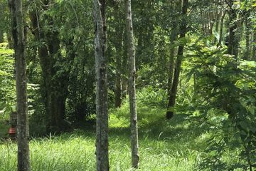 Land for sale in Mai Khao, Phuket