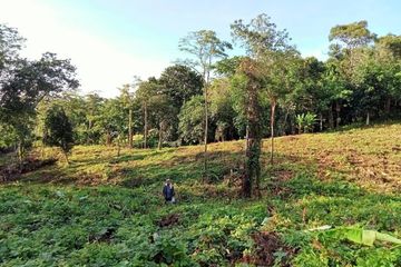 Land for sale in Wichit, Phuket