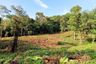 Land for sale in Wichit, Phuket