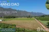Land for sale in Ping Khong, Chiang Mai