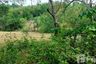Land for sale in Chalong, Phuket