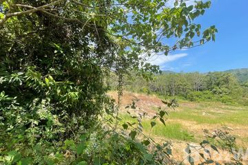 Land for sale in Chalong, Phuket