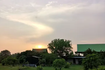 Land for sale in Rim Ping, Lamphun