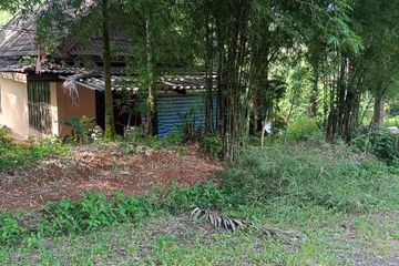 Land for sale in Pa Khlok, Phuket