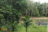 Land for sale in Ko Lanta Yai, Krabi