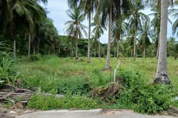 Land for sale in Pong, Chonburi