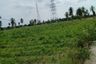 Land for sale in Pong, Chonburi