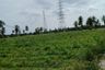 Land for sale in Pong, Chonburi