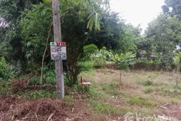 Land for sale in Sateng, Yala