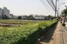 Land for sale in Bang Na, Bangkok
