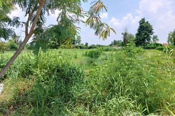 Land for sale in Tha Ang, Nakhon Ratchasima