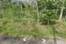 Land for sale in Kalai, Phang Nga